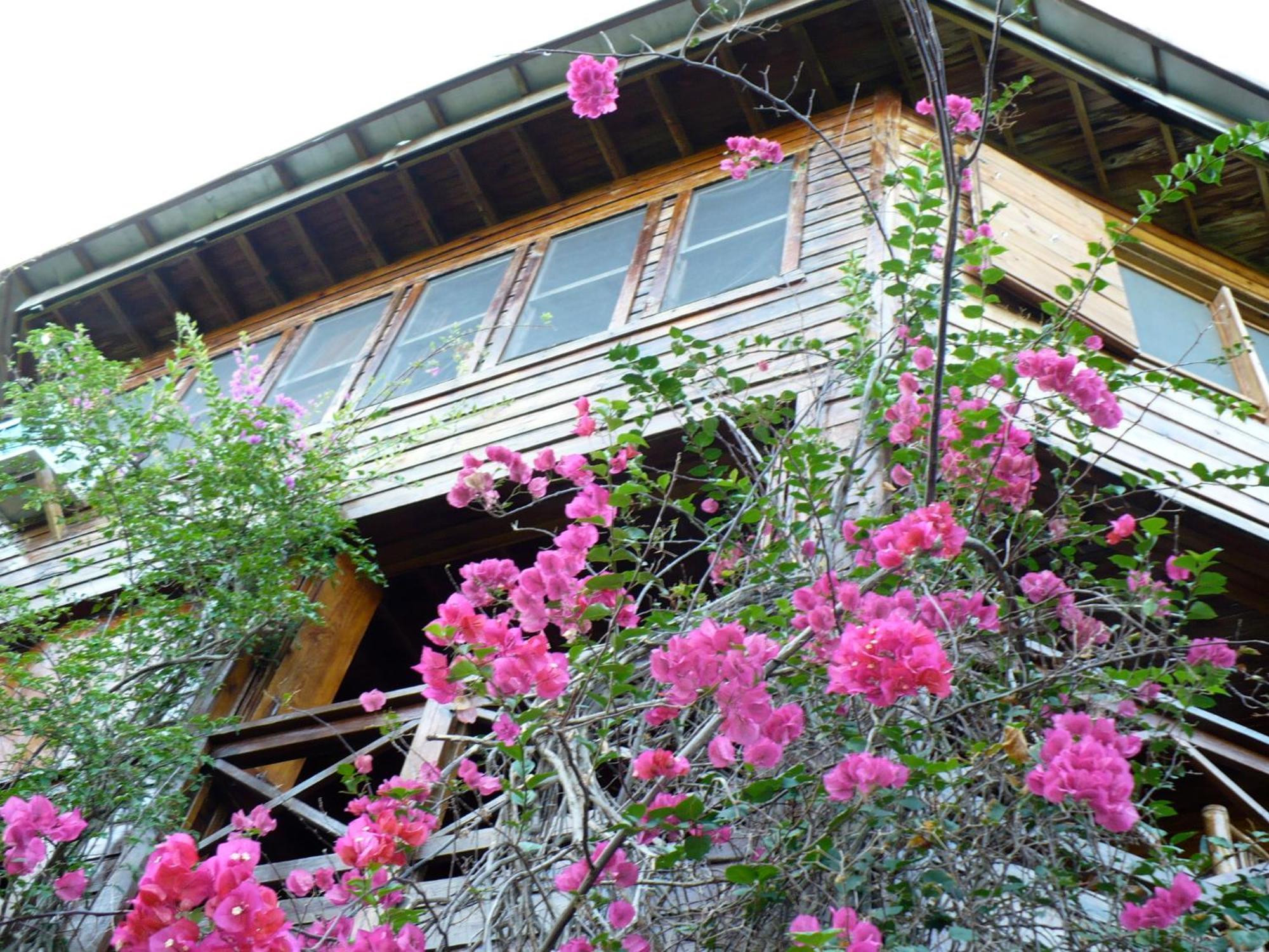 Roatan Bed & Breakfast Apartments West End Exterior foto